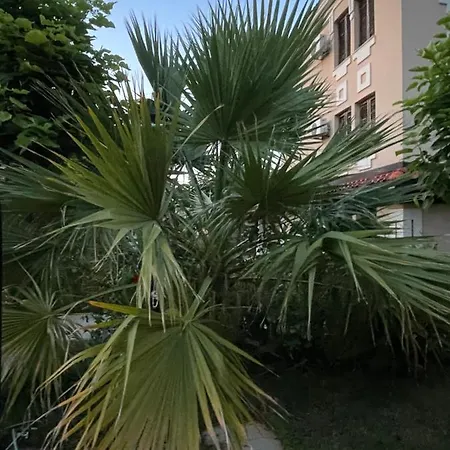 Apartment Life Sozopol